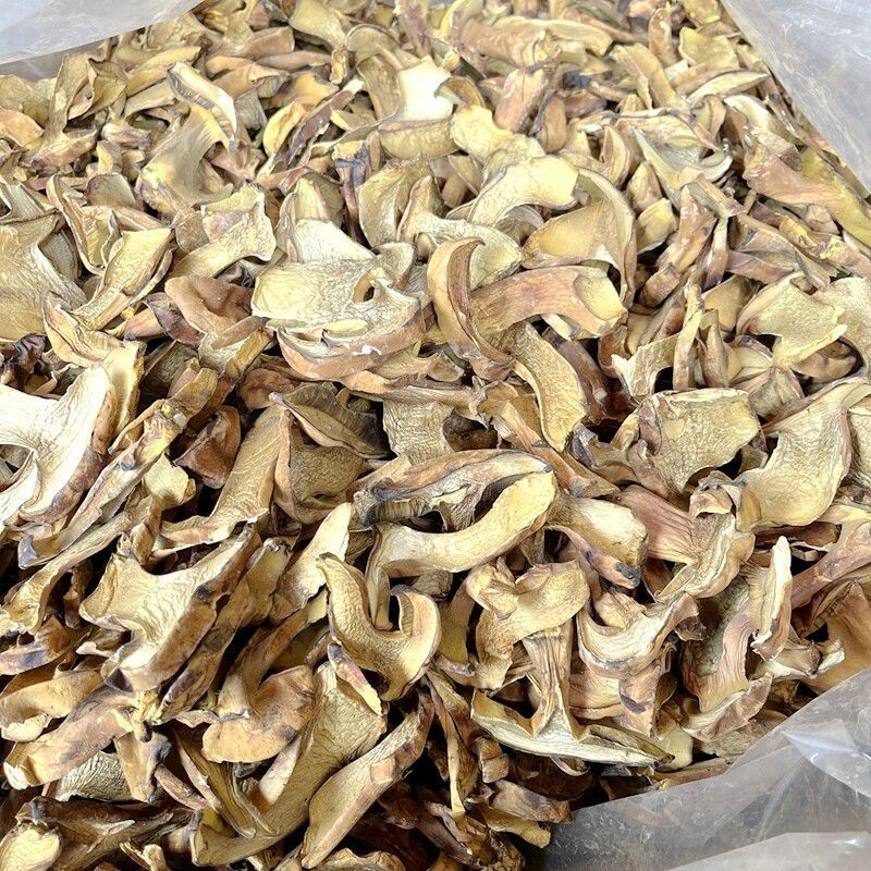 人工见手青黄牛肝菌通货切片烘干干片干品