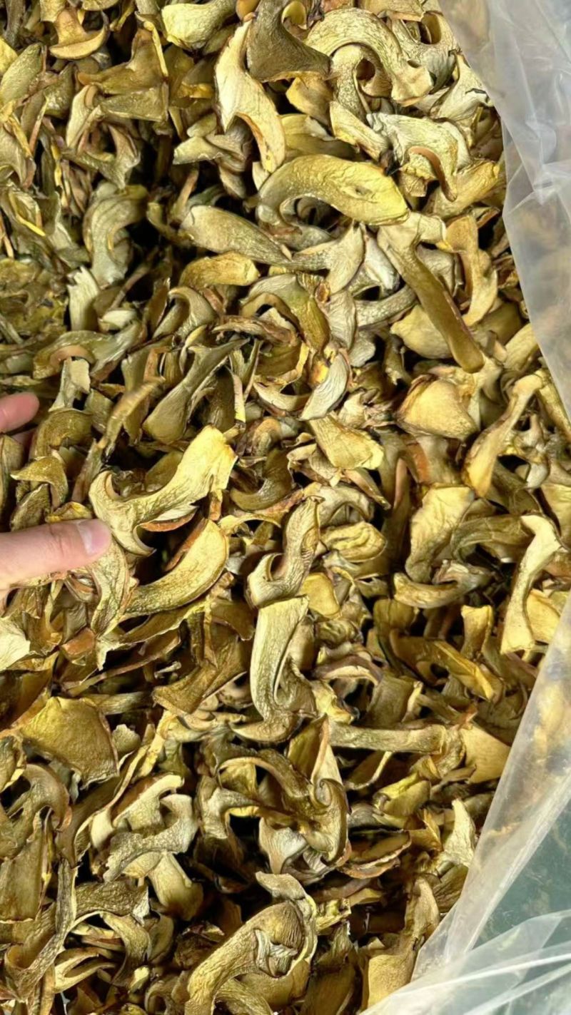 人工见手青黄牛肝菌通货切片烘干干片干品