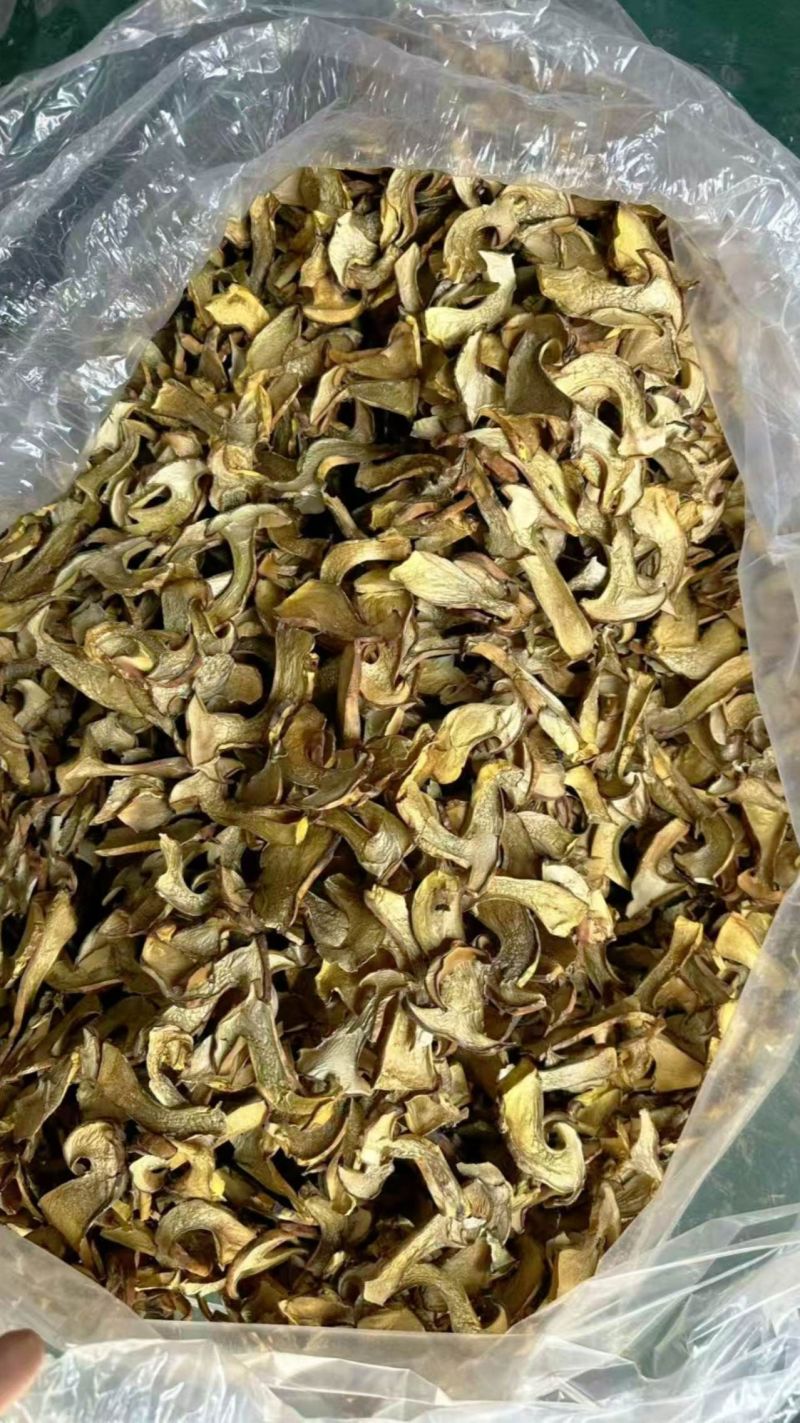 人工见手青黄牛肝菌通货切片烘干干片干品