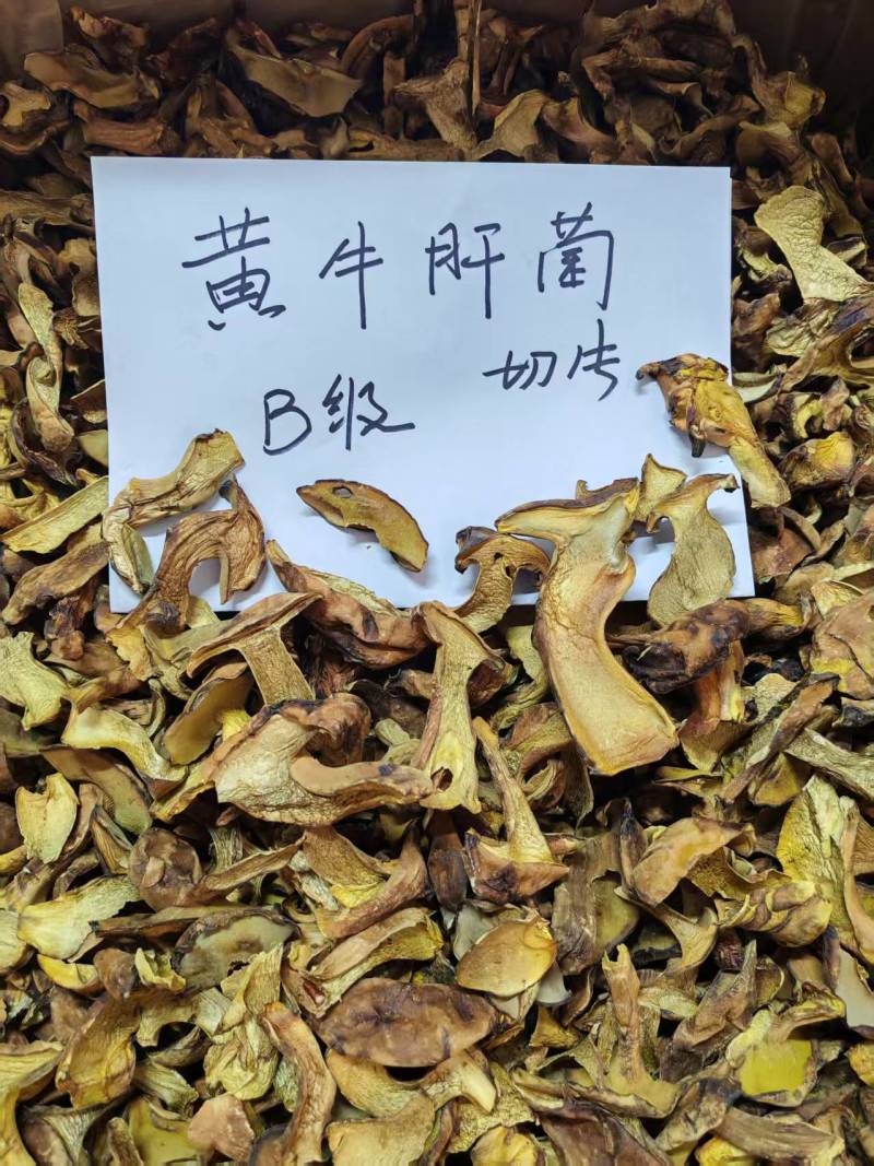 人工见手青黄牛肝菌通货切片烘干干片干品