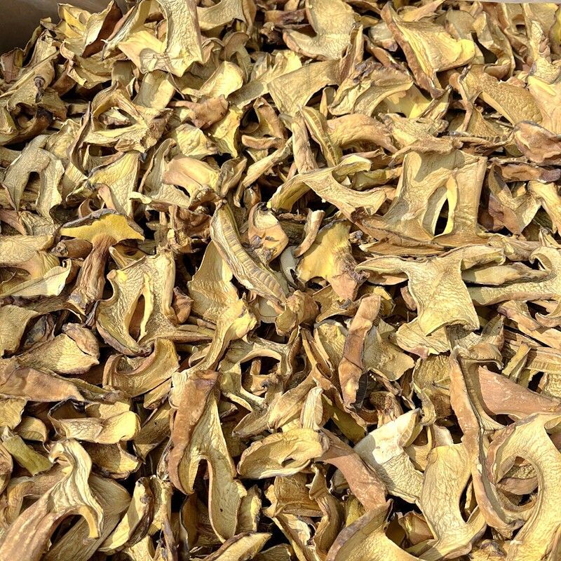 人工见手青黄牛肝菌通货切片烘干干片干品