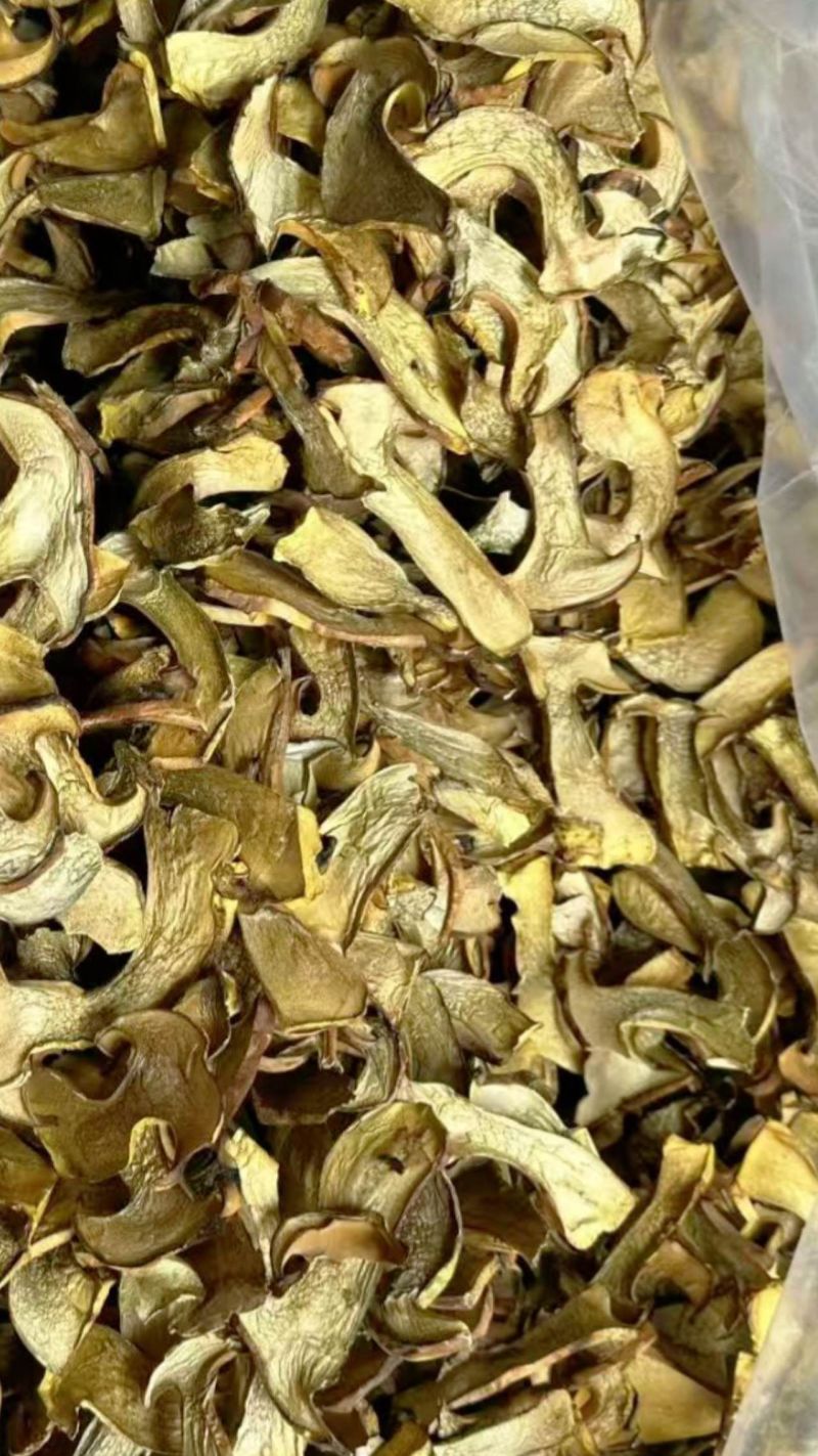 人工见手青黄牛肝菌通货切片烘干干片干品