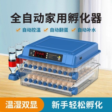 孵蛋器全自动小型家用型芦丁鸡孵化箱智能孵化机孵化器小鸡孵