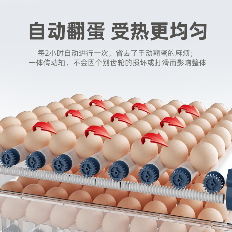 孵蛋器全自动小型家用型芦丁鸡孵化箱智能孵化机孵化器小鸡孵