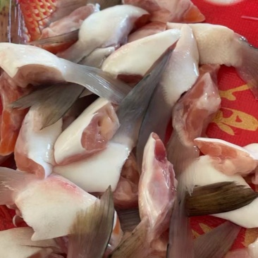 三文鱼鳍，三文鱼划水新鲜冷冻，烧烤，油炸，大量供应