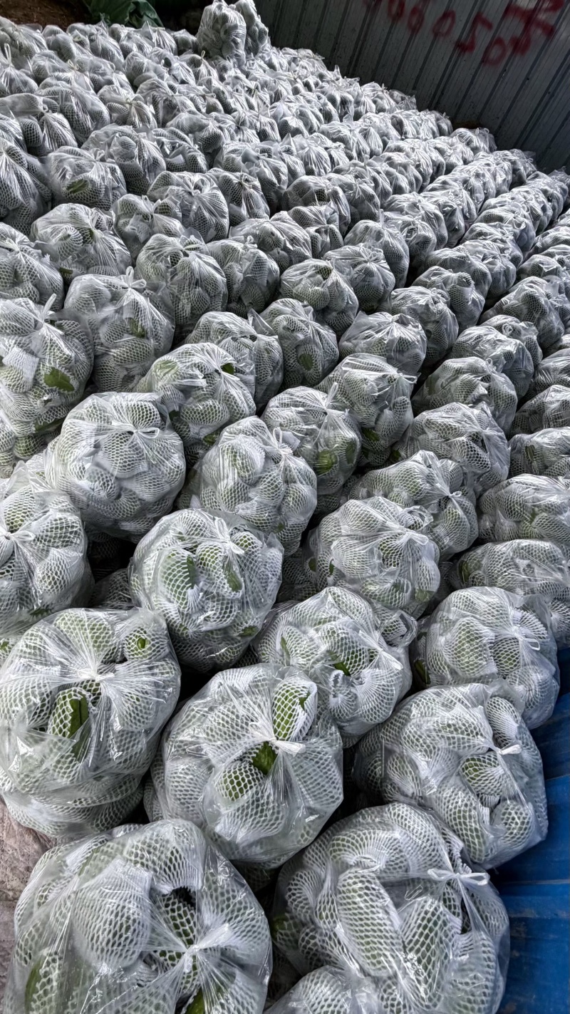 市场，电商，一件代发，都可对接，大量有货，量大从优