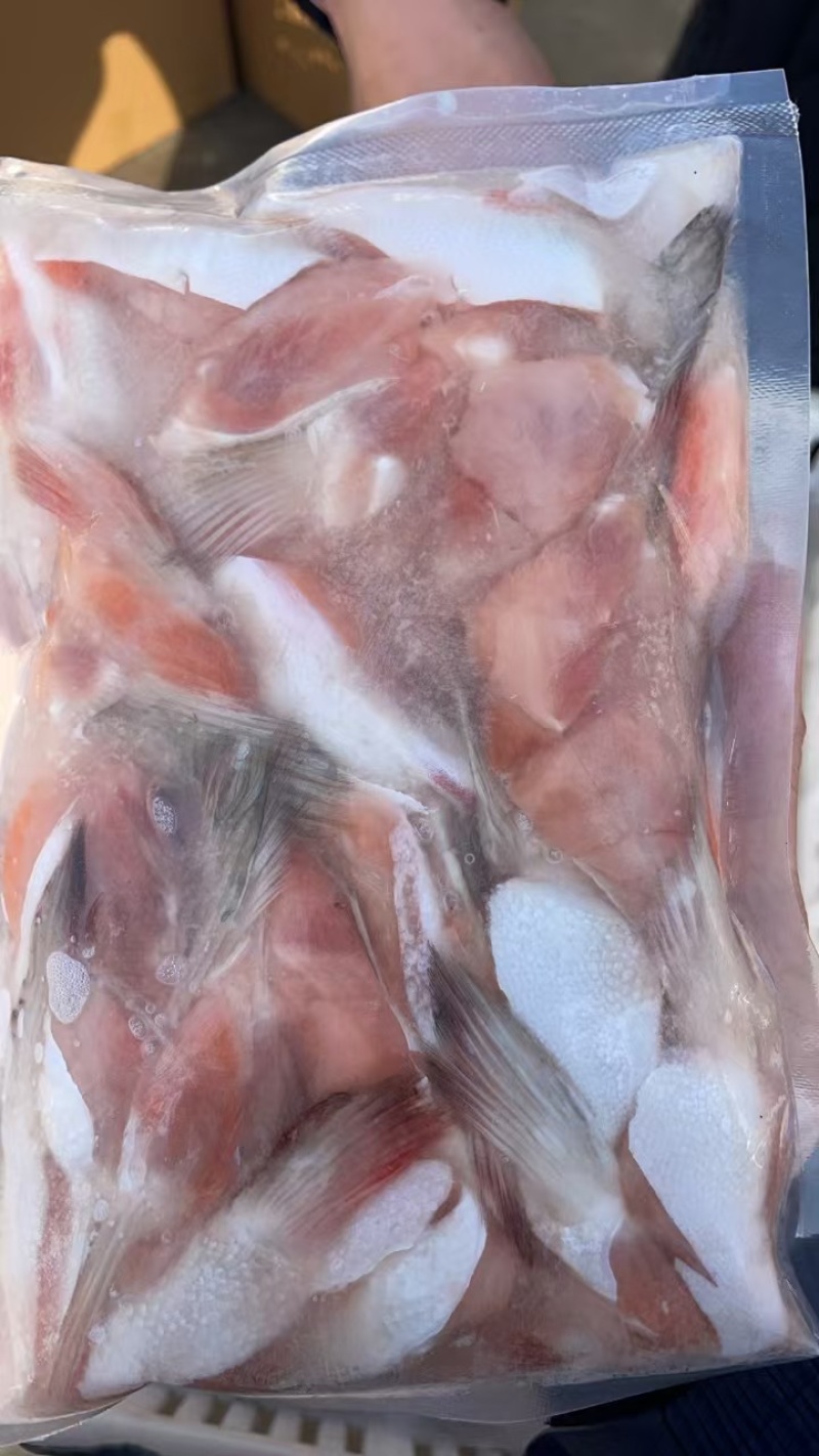 三文鱼鳍，三文鱼划水新鲜冷冻，烧烤，油炸，大量供应
