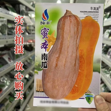 蜜本南瓜种子高产型超甜蜜本南瓜种子甜面细腻肉质面大田
