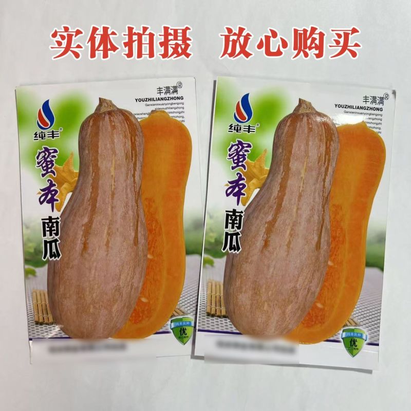 蜜本南瓜种子高产型超甜蜜本南瓜种子甜面细腻肉质面大田