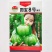 无蔓青皮西葫芦种翠绿皮无蔓结果多春播圆宝西葫芦种植