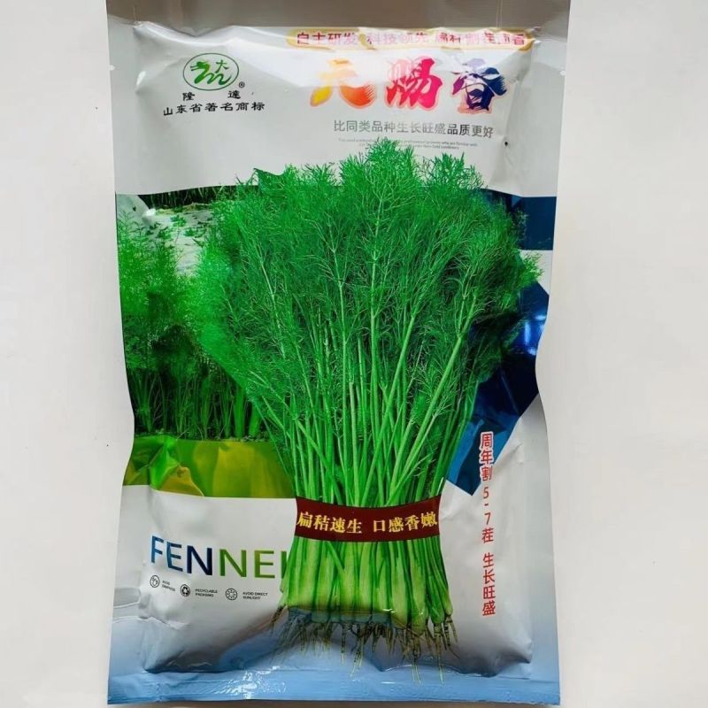 割茬茴香种子茴香种籽菜种籽大全四季南方阳台盆栽易种蔬菜种