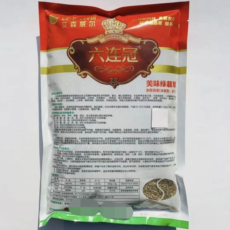 割茬茴香种子茴香种籽菜种籽大全四季南方阳台盆栽易种蔬菜种