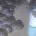 温室甲鱼大小规格都有寻找地区代理合作销售商