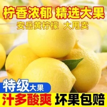 安岳精选黄柠檬大果一件代发