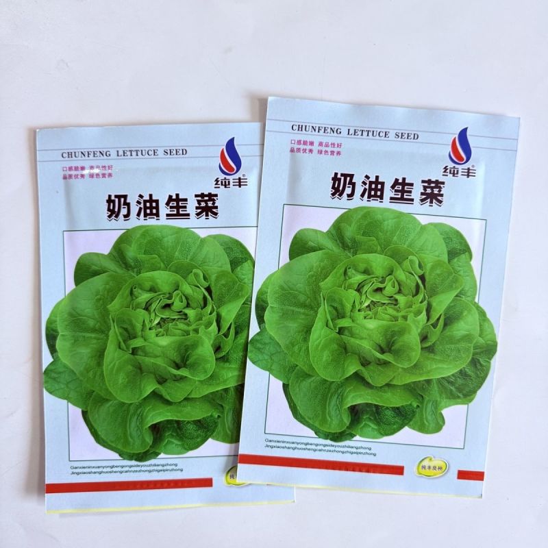 奶油生菜种子长势快耐寒耐热生菜叶片肥厚光滑甜脆春秋播种