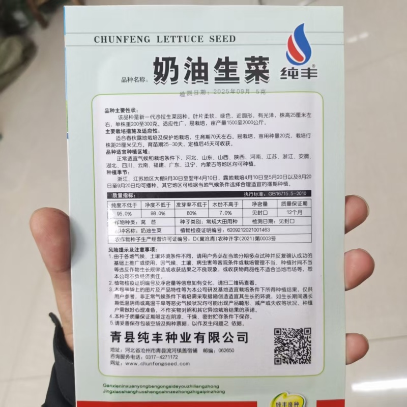 奶油生菜种子长势快耐寒耐热生菜叶片肥厚光滑甜脆春秋播种