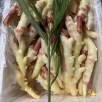 5月1日新鲜现挖广东湛江红芽子姜