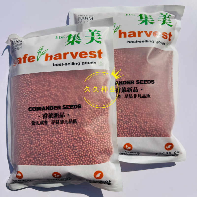 集美香菜种子速生秋播大叶芫荽耐热耐寒耐抽苔阳台盆栽蔬菜种