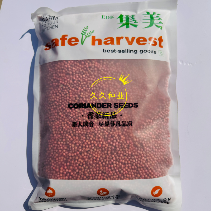 集美香菜种子速生秋播大叶芫荽耐热耐寒耐抽苔阳台盆栽蔬菜种