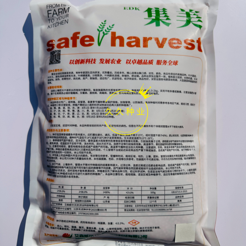 集美香菜种子速生秋播大叶芫荽耐热耐寒耐抽苔阳台盆栽蔬菜种