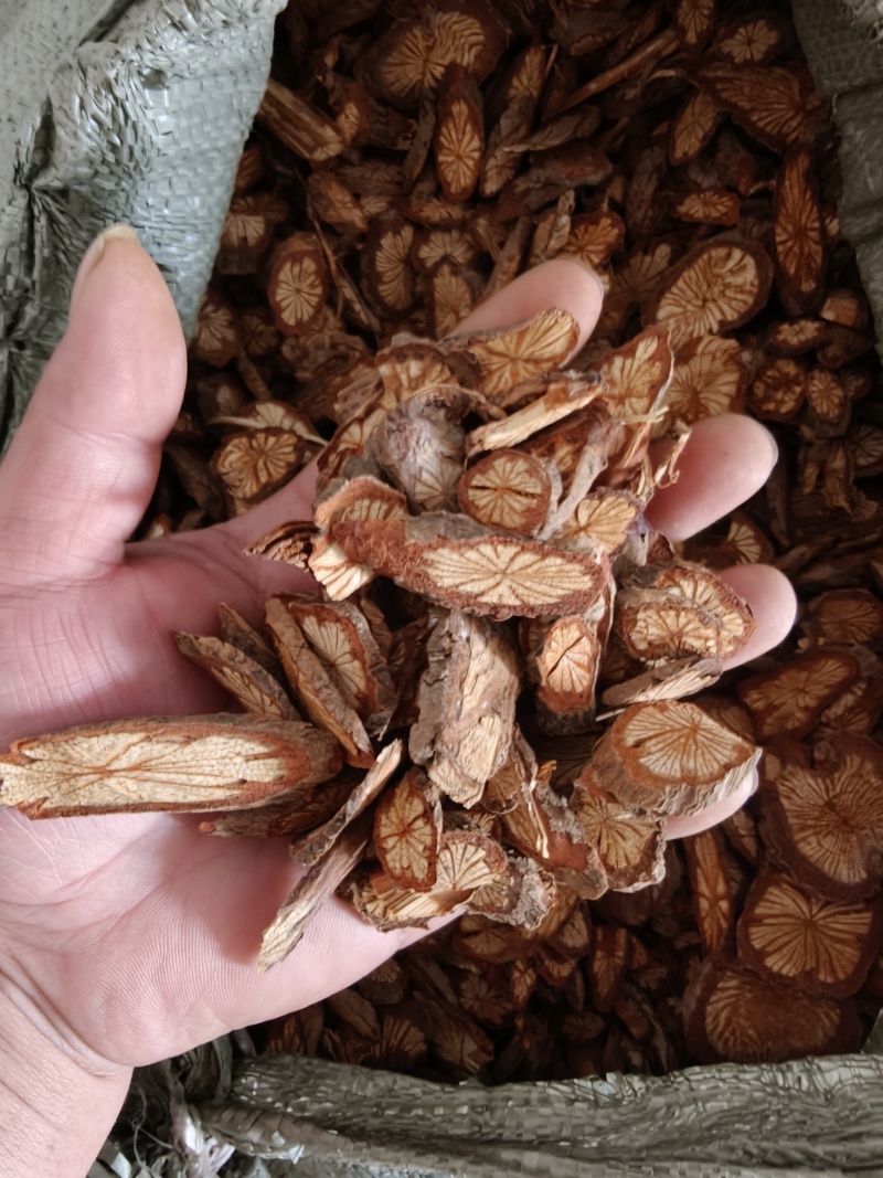 红藤片，中大片
