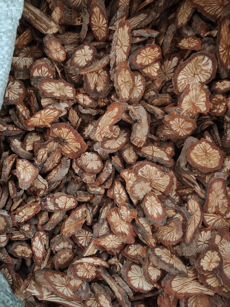 红藤片，中大片