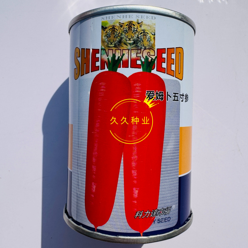 爱姆卜五寸参胡萝卜种子早熟脆甜小型生吃脆甜水果胡萝卜