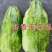 新香玉菜瓜种子早熟绿皮绿肉高产甜瓜脆瓜清香种籽正品优质