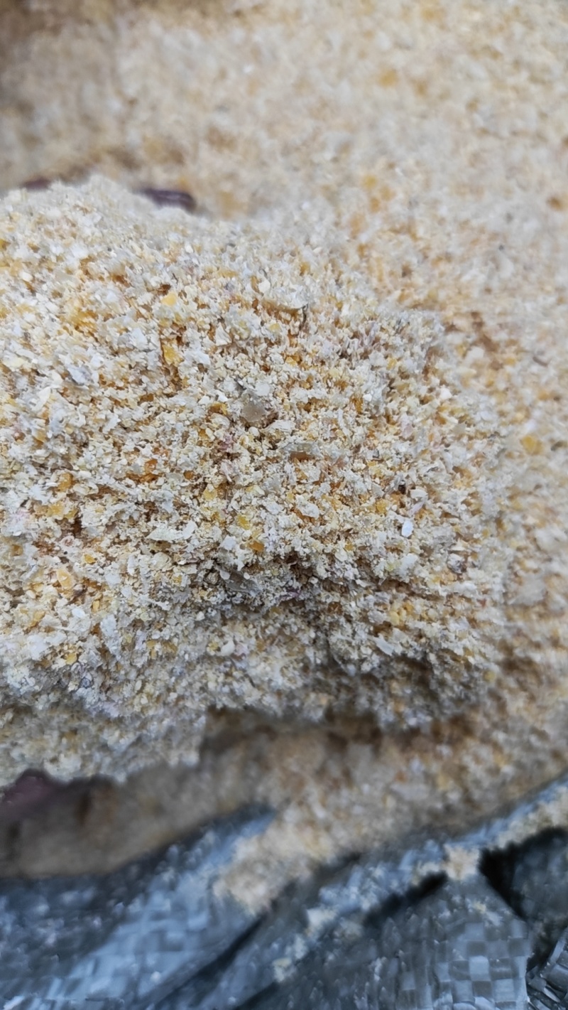 黑龙江玉米胚芽糠价格优惠质量好量大从优欢迎询价️热卖