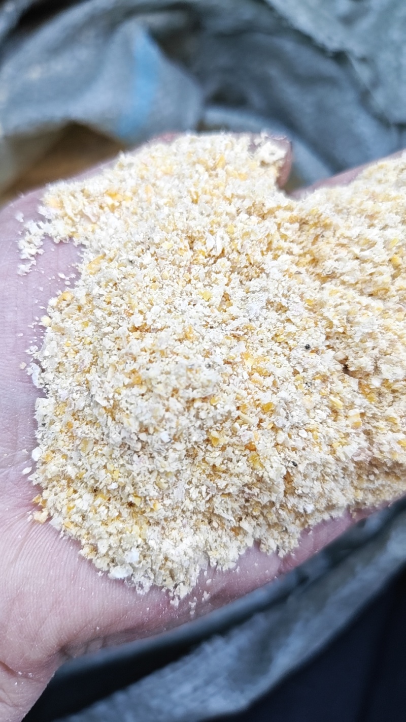 黑龙江玉米胚芽糠价格优惠质量好量大从优欢迎询价️热卖