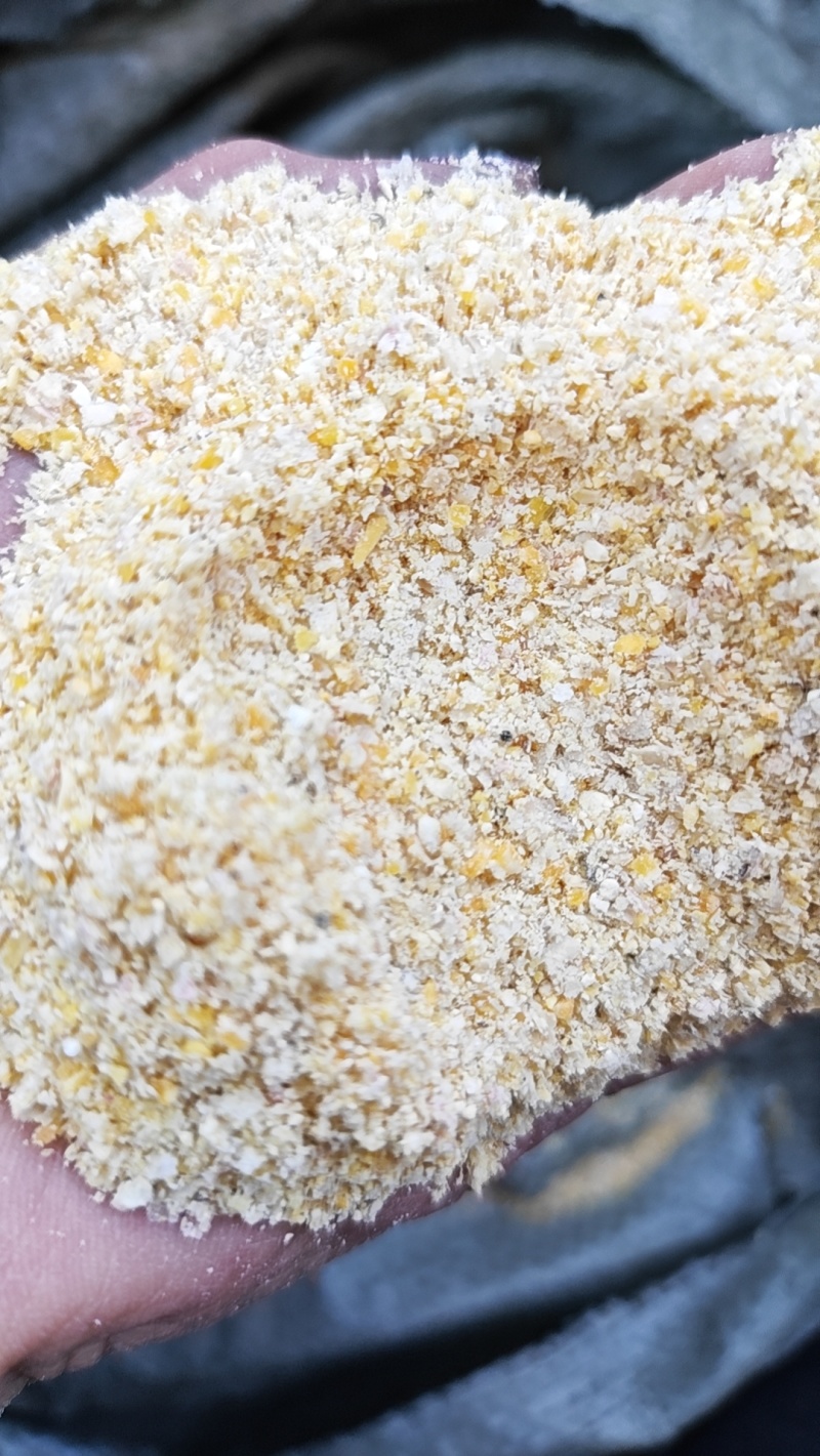 黑龙江玉米胚芽糠价格优惠质量好量大从优欢迎询价️热卖