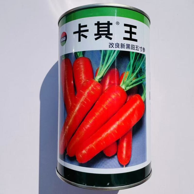 卡其王新黑田五寸参胡萝卜种子籽种四季春季秋蔬菜胡萝卜种孑