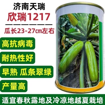 欣瑞1217高产西葫芦种子耐热早熟抗病毒南方越夏庭院绿色