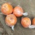 皮薄光亮水份充足纯甜
