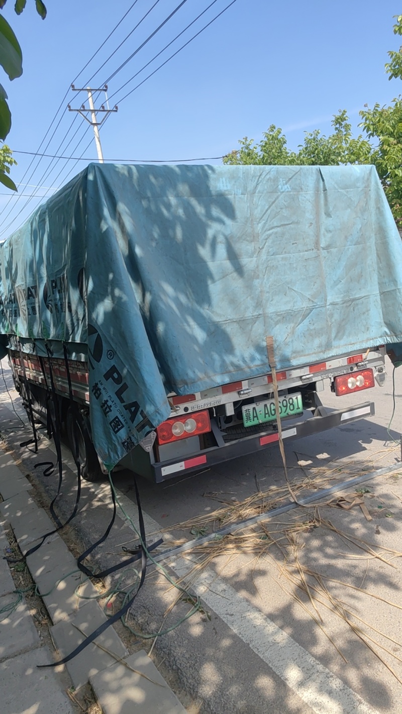 特级小糖丸西瓜百亩基地现货供应甜度高口感好价格实惠