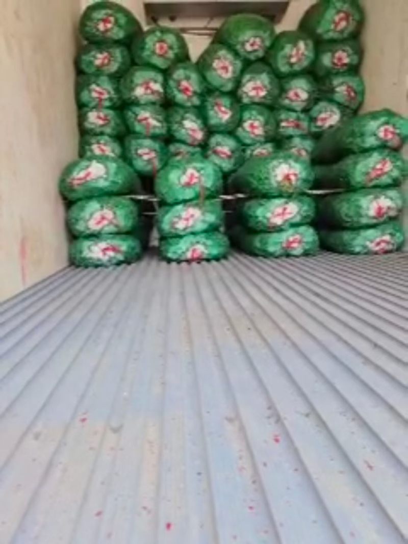 汉中蚕豆，胡豆大量上市，质优价廉物美，产地直发要的联系…