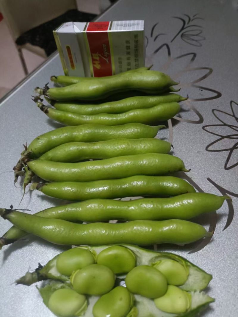 汉中蚕豆，胡豆大量上市，质优价廉物美，产地直发要的联系…
