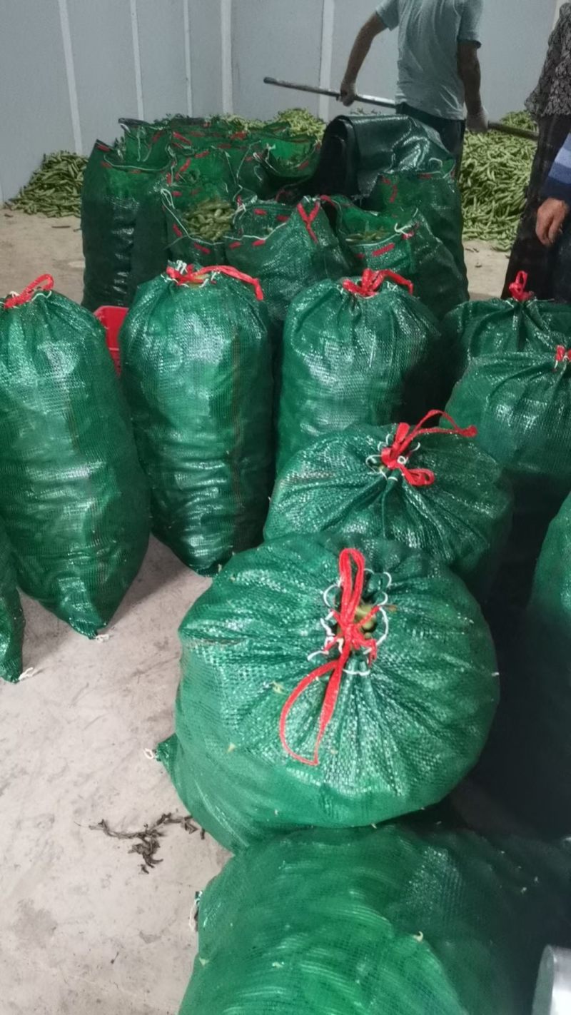 汉中蚕豆，胡豆大量上市，质优价廉物美，产地直发要的联系…