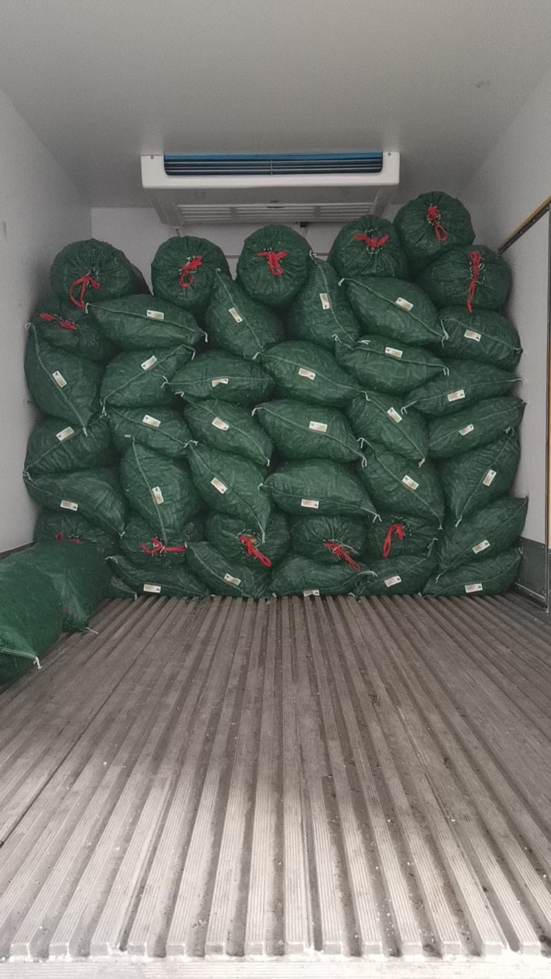 汉中蚕豆，胡豆大量上市，质优价廉物美，产地直发要的联系…