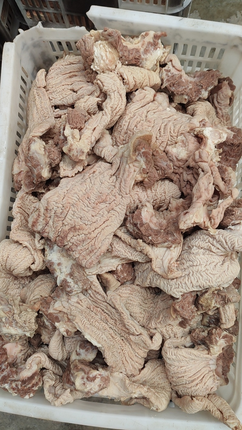 高品质牛杂，不含心肝肺皮，肠类拼。大肠小肠碗口散带