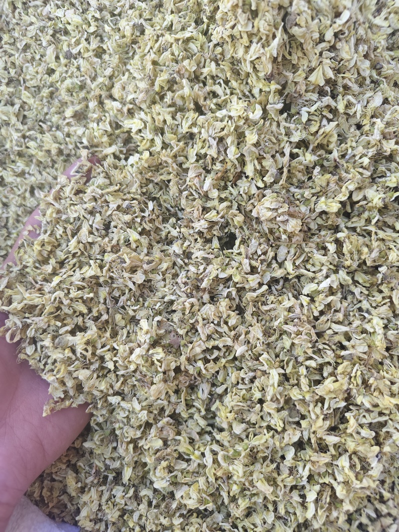 槐花新货无硫槐花干净无杂批发零售
