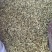槐花新货无硫槐花干净无杂批发零售