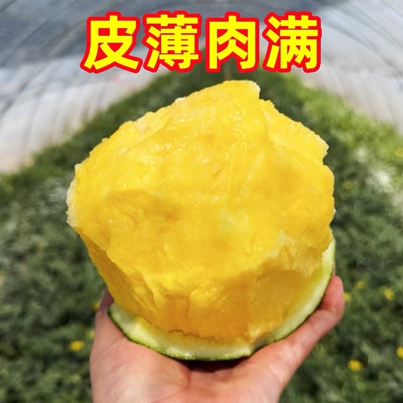 东台特小凤，小兰西瓜，冰淇淋西瓜，金牌代办