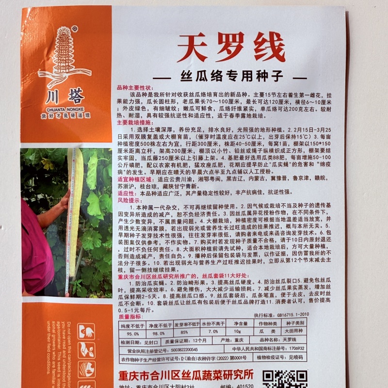 大果长丝瓜种籽耐热春秋播种高产果型顺直薄皮肉厚基地专用品
