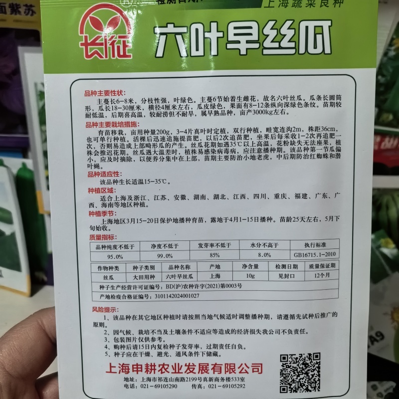 大果长丝瓜种籽耐热春秋播种高产果型顺直薄皮肉厚基地专用品