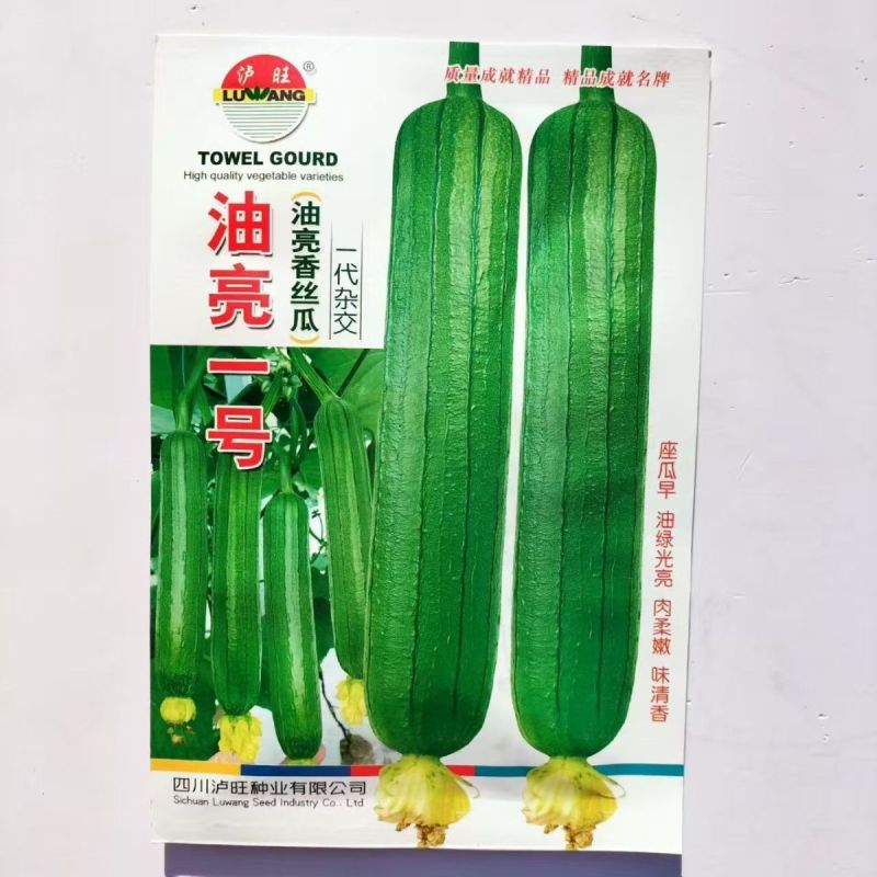 大果长丝瓜种籽耐热春秋播种高产果型顺直薄皮肉厚基地专用品