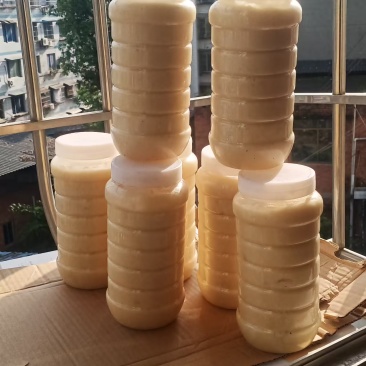 土蜂蜜