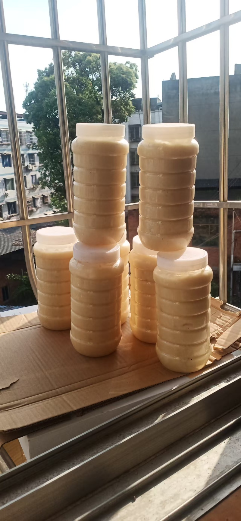 土蜂蜜