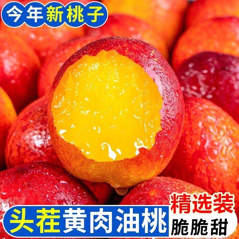 山东油桃红皮黄肉中油4号5号进出口贸易供应链