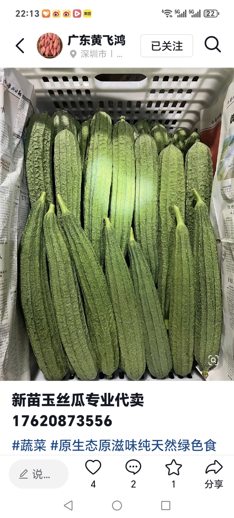 棱角丝瓜贵州一手货源全国供货现采现发